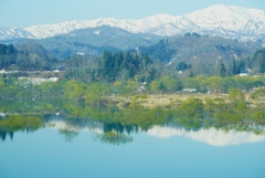 里山の春