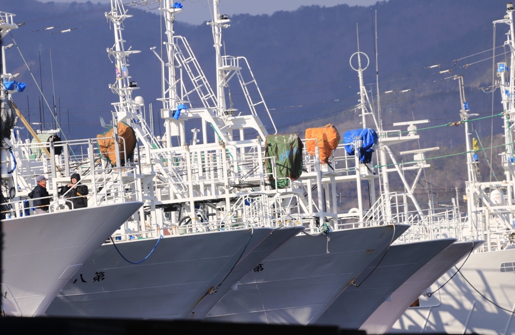 鮪漁船 出航に備えて