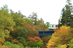 陸羽東線