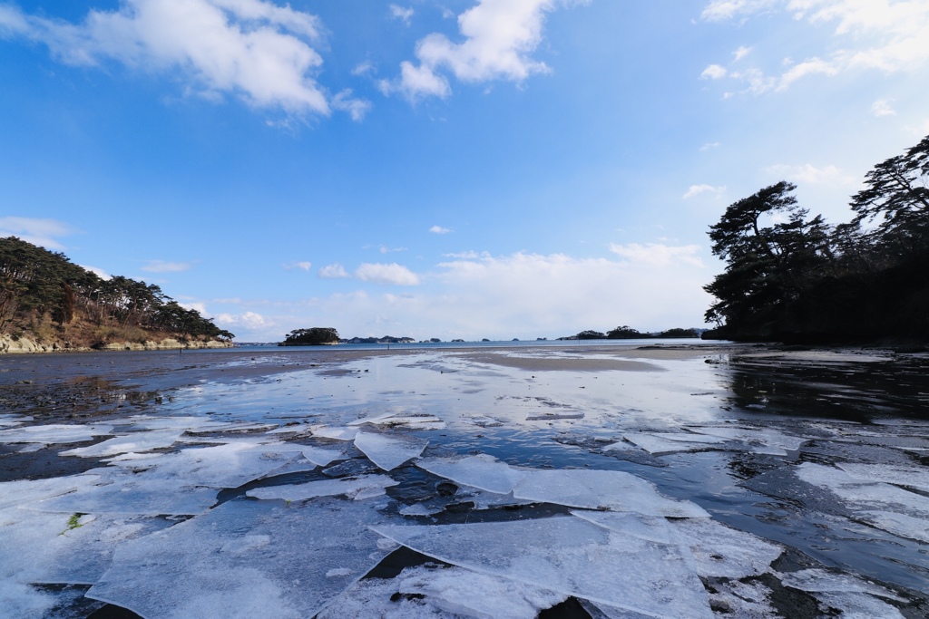 松島の冬