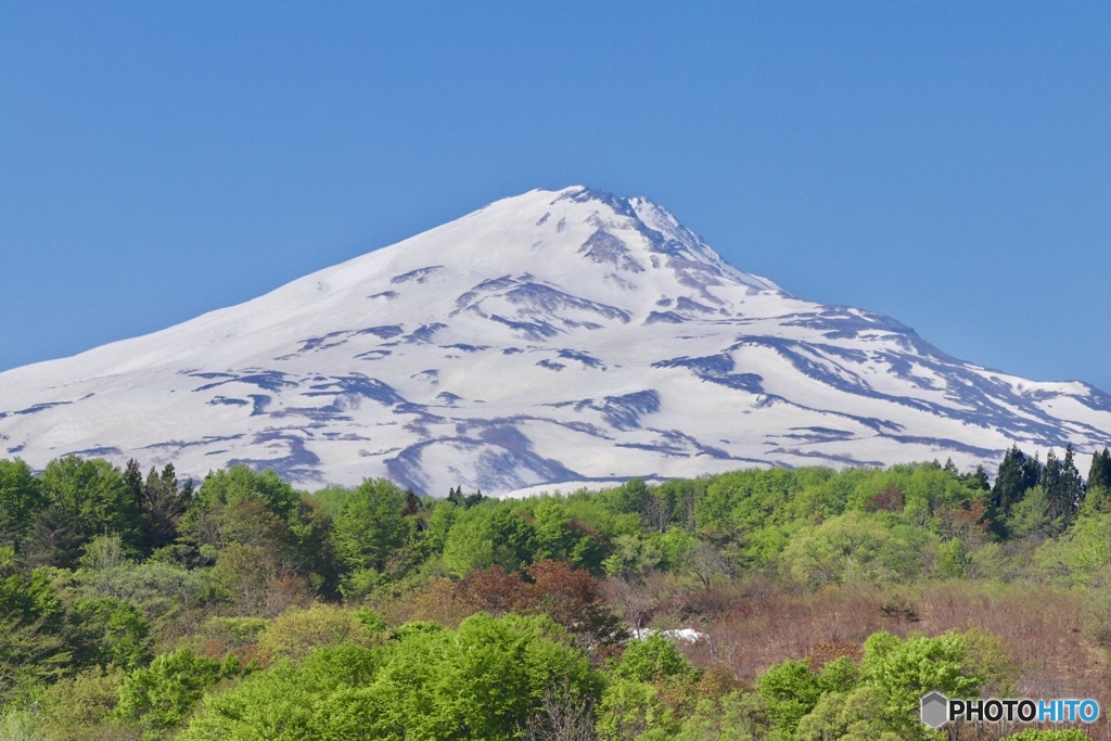 春の雪山   鳥海山