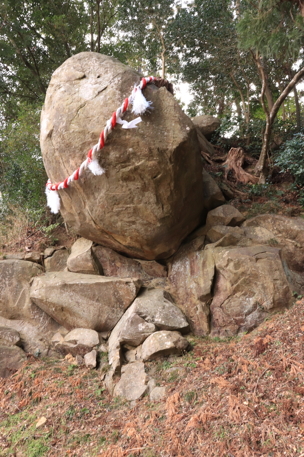 落ちそうで落ちない！