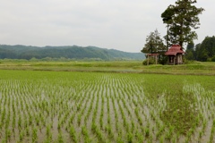 村の守り神(春)