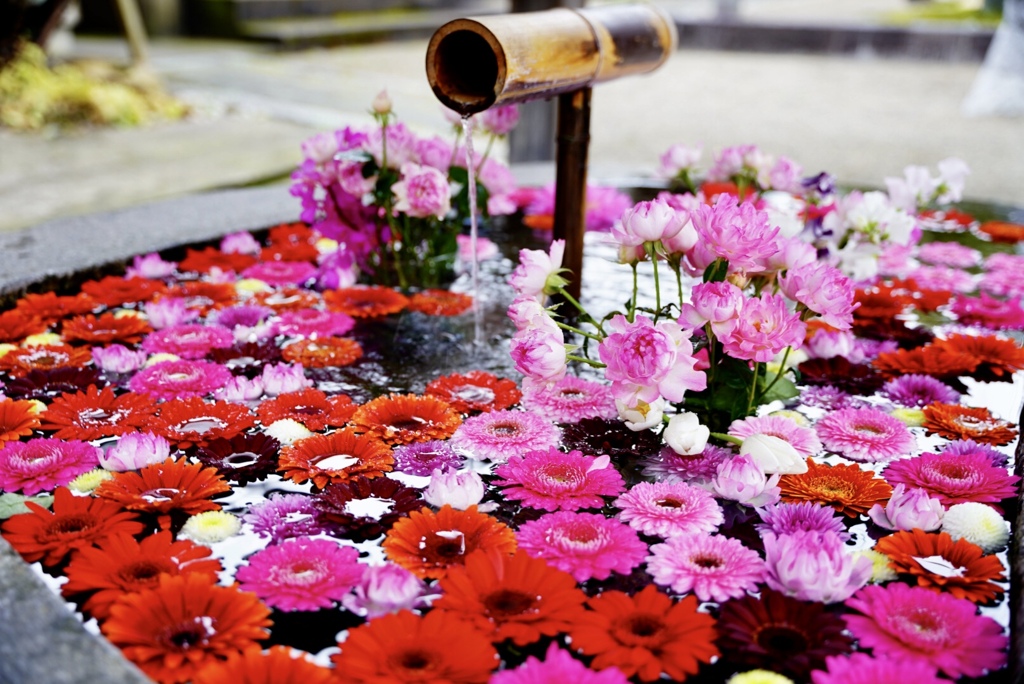 花の手水舎　庄内神社