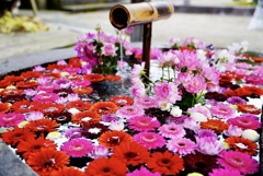 花の手水舎　庄内神社