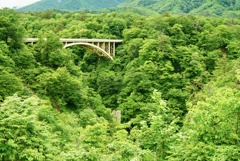 初夏の鳴子峡