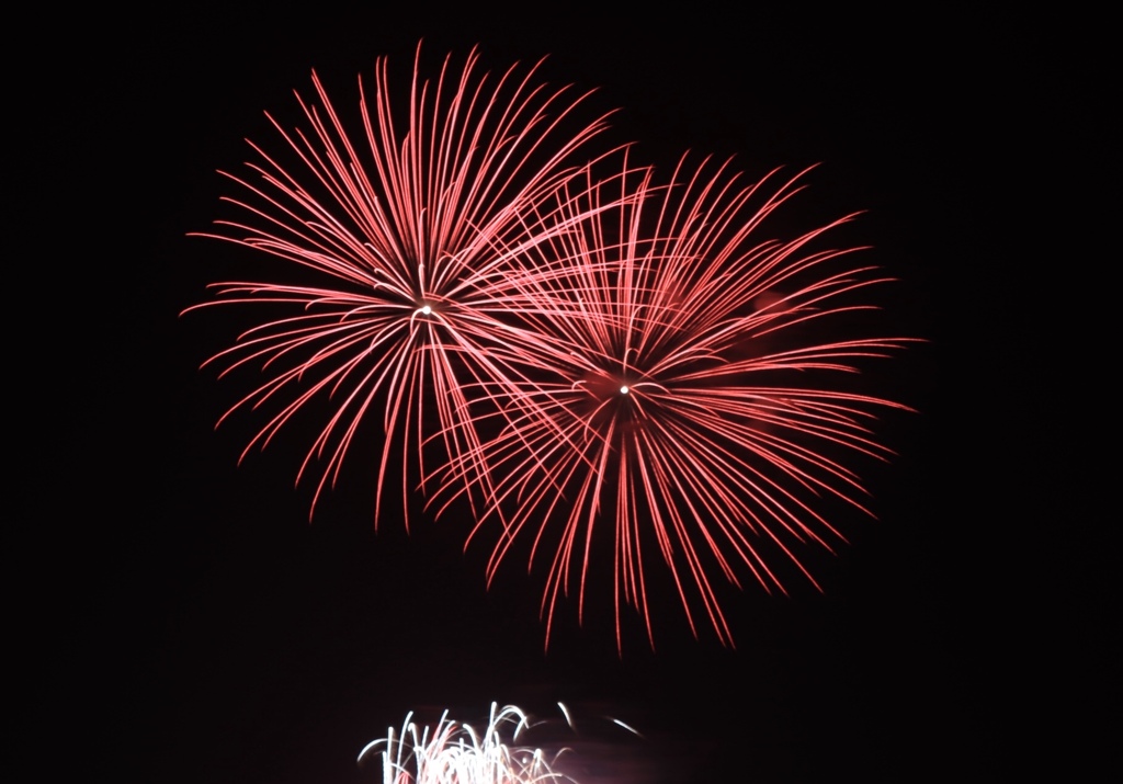 初めての花火撮影