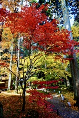 松島円通寺