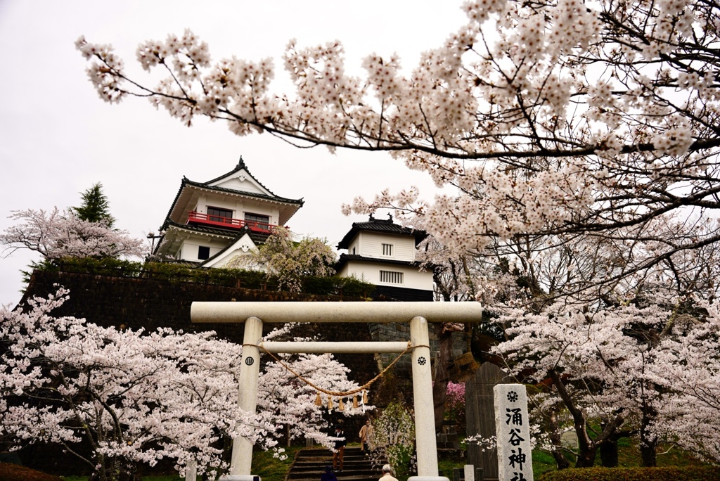 東北に春(宮城県涌谷町)