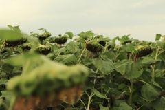 皆さん お疲れ様