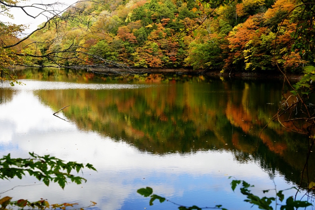 白神山地