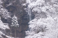 対岸の滝