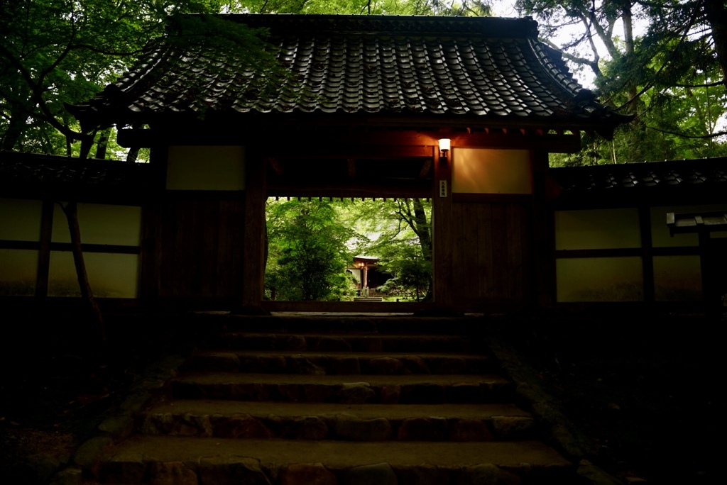 趣