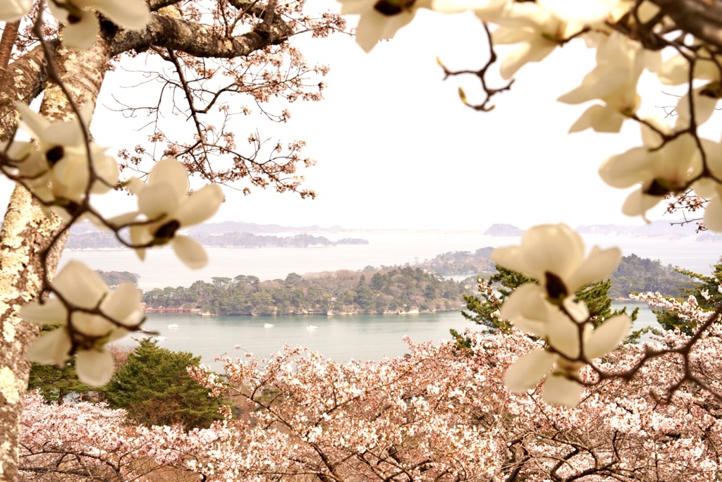 東北の春