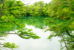 白神の春緑