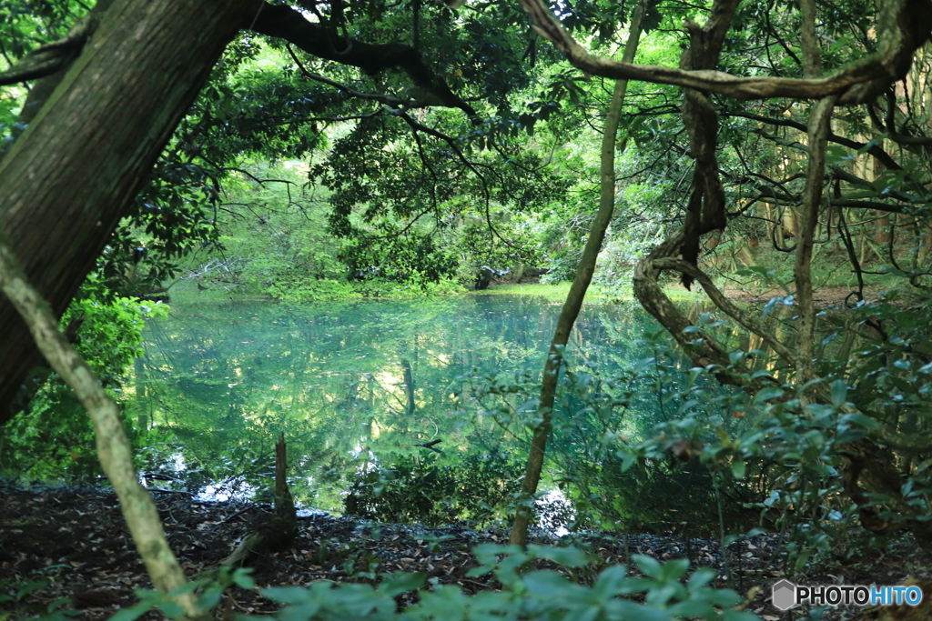 山間のエメラルド
