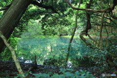 山間のエメラルド