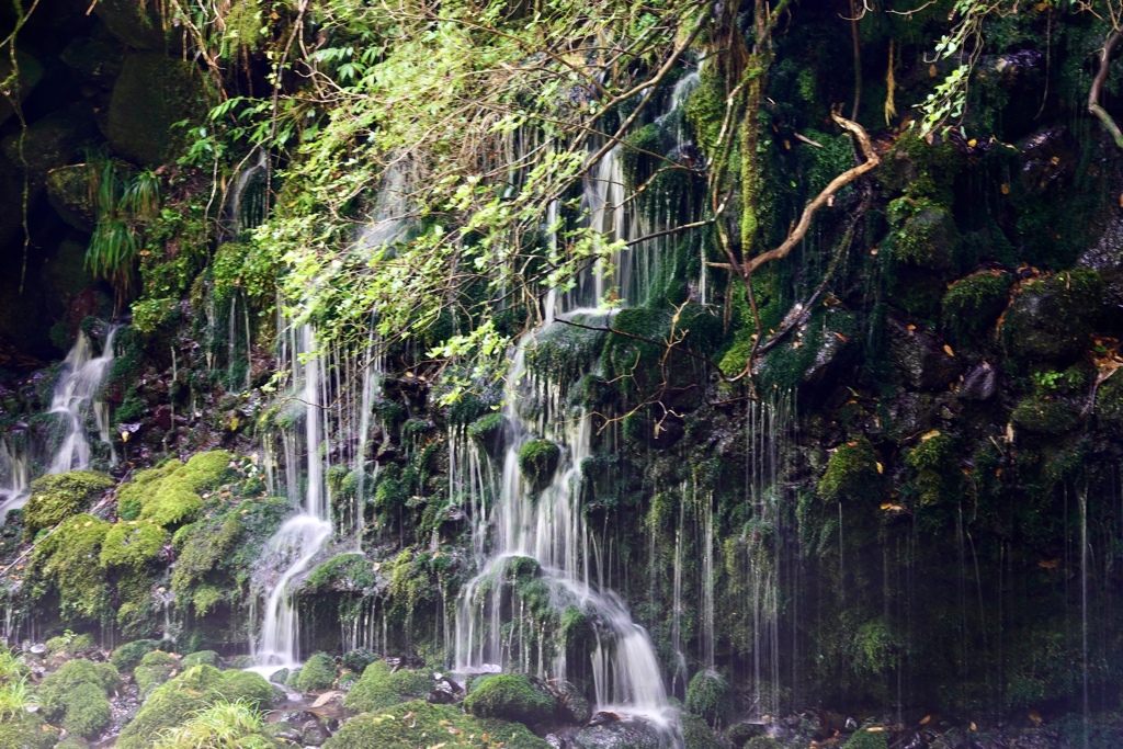 鳥海山元滝伏流水