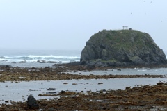 雨の尻屋崎