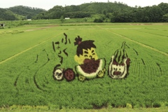 スイカの町の田んぼアート