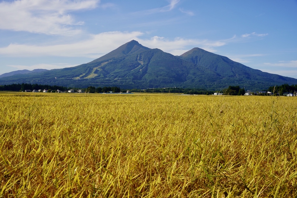 宝の山