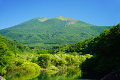 涼を求めて