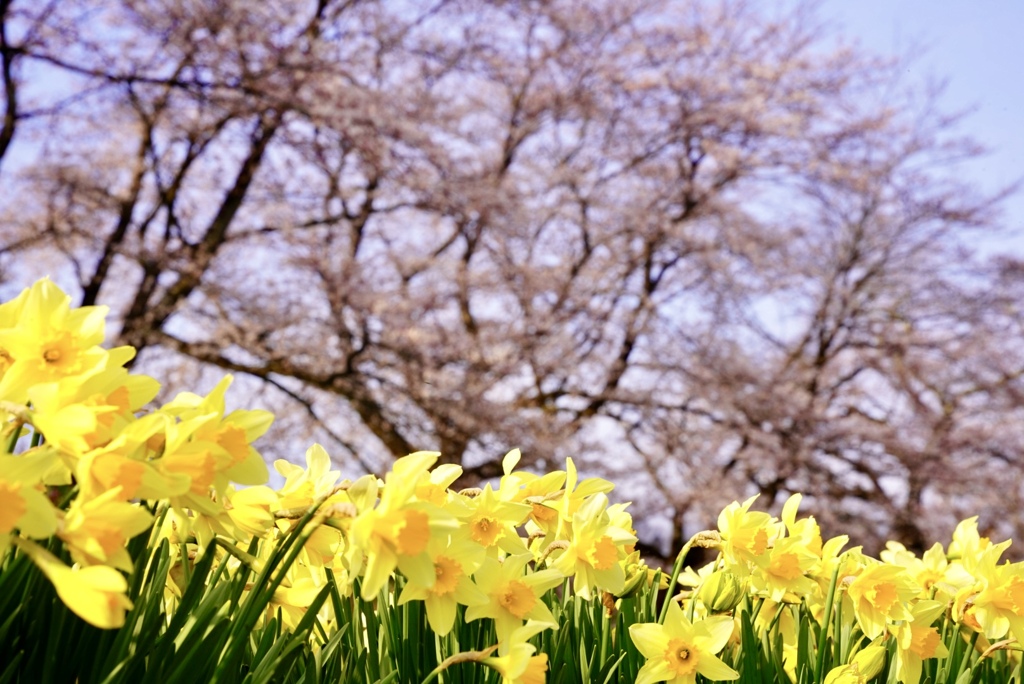 春^_^