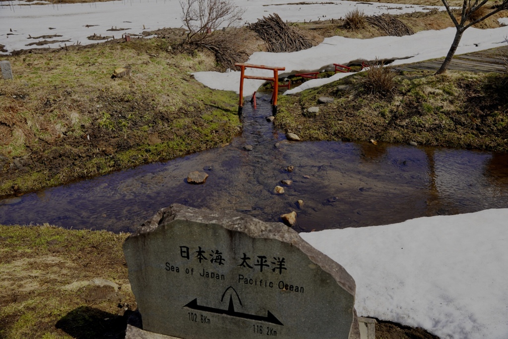 運命の別れ道　後悔せずに進もう！