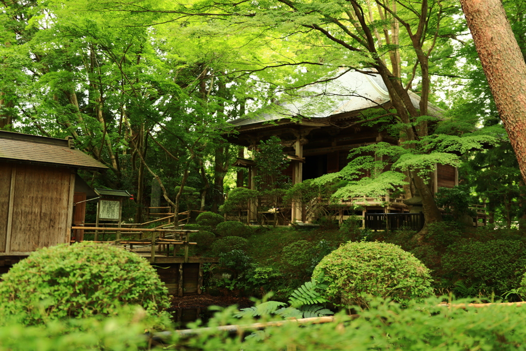 中尊寺 庭園