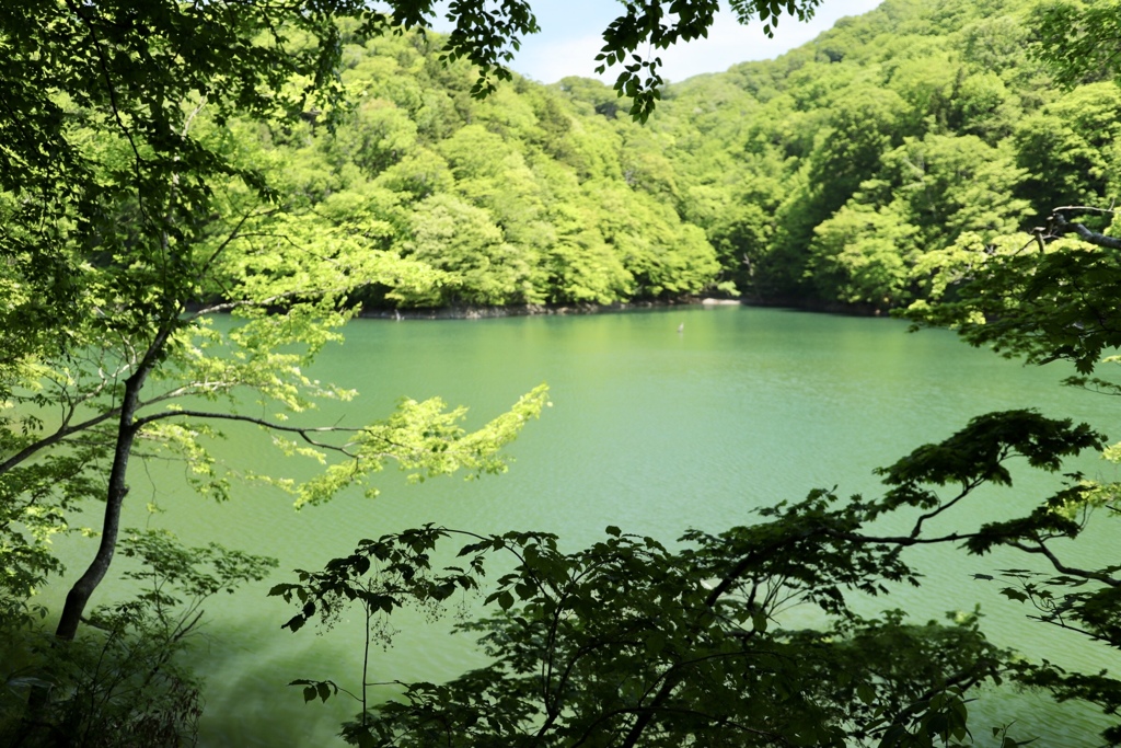 山も湖面も新緑の世界