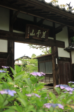 仙台 紫陽花寺 資福寺 正門
