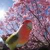 うにょーん♪
