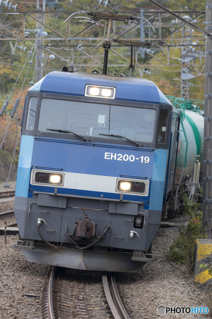 ブルーサンダーの顔