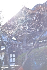 FD3DB67E-B4DD-41E6-9051-ACA069A95028