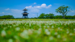 唐子鍵遺跡公園