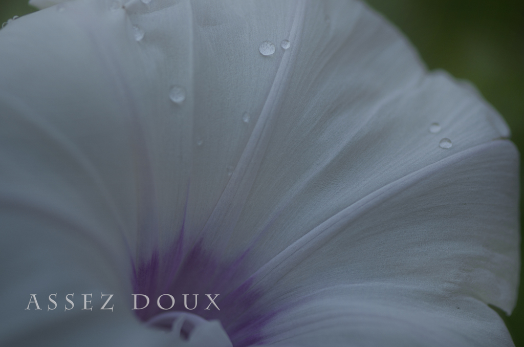 assez doux