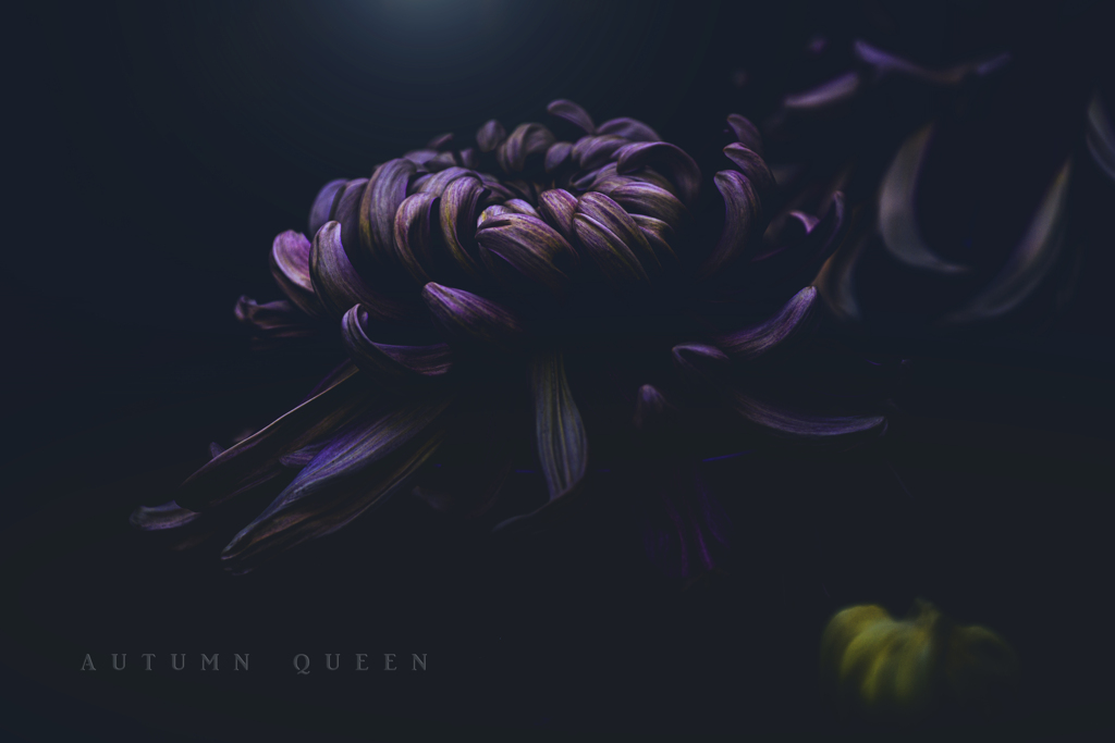 autumn queen
