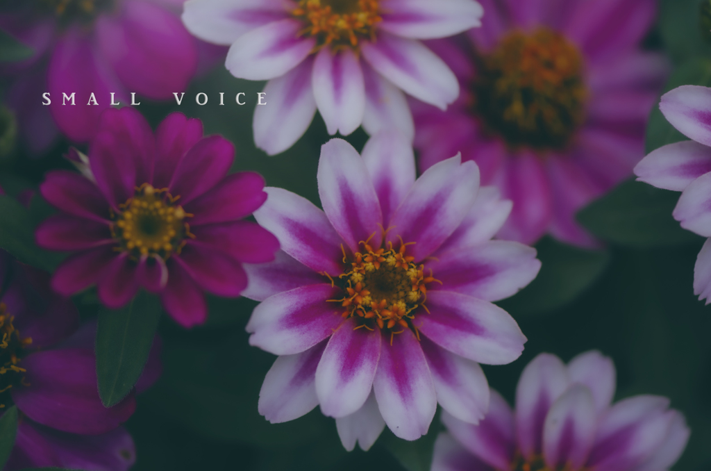 small voice