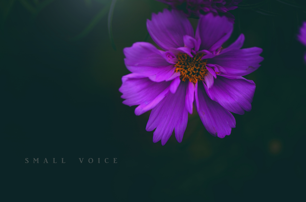 small voice