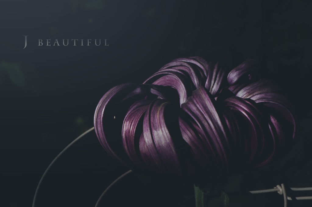 J beautiful 