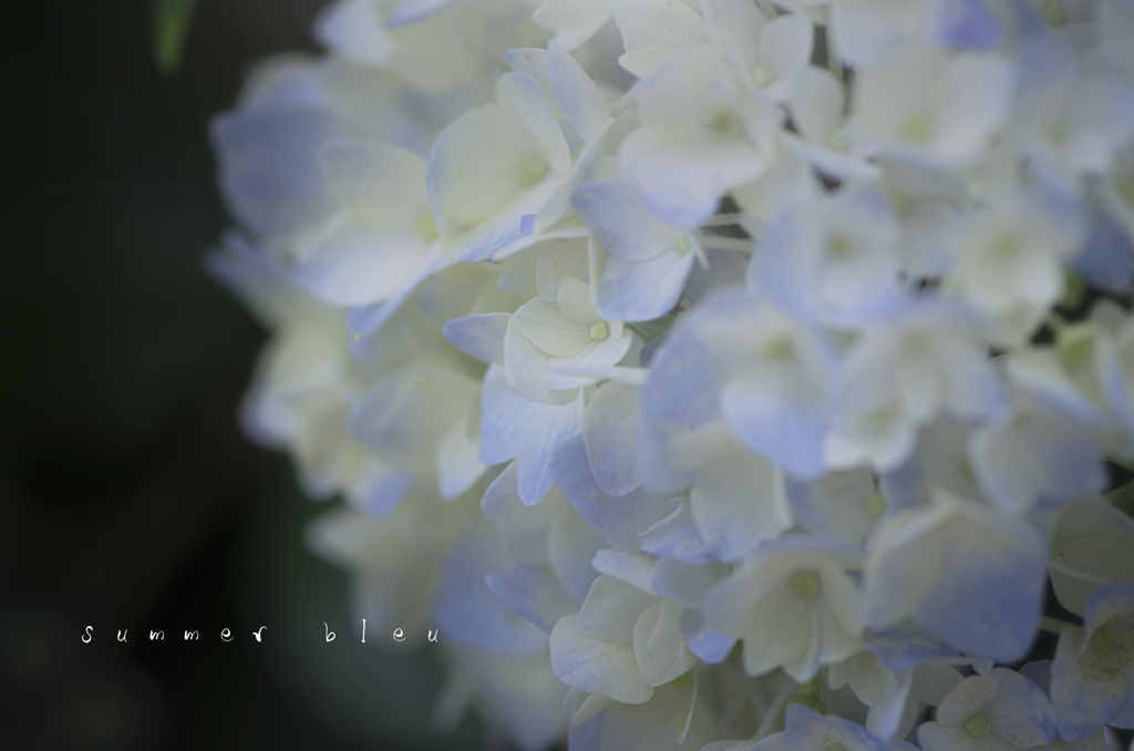 夏色