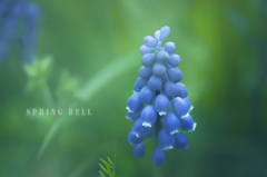 spring bell