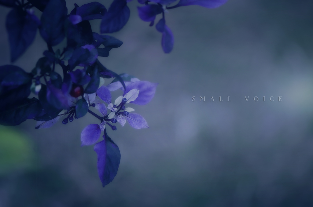 small voice