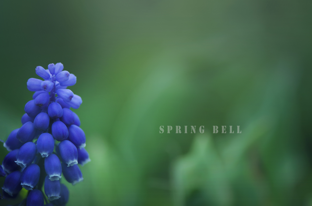 spring bell