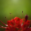 rouge d' automne