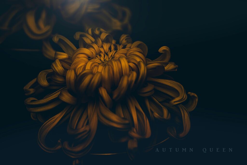 autumn queen