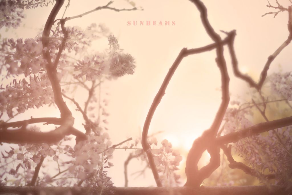 sunbeams