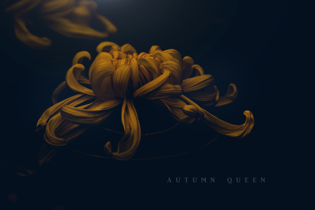 autumn queen