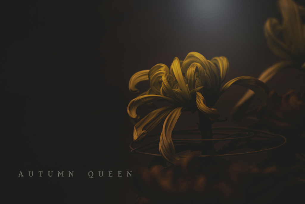 autumn queen