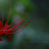 small voice